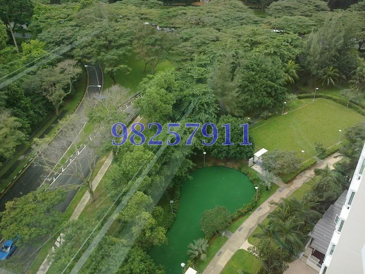 Costa Del Sol (D16), Condominium #109567622
